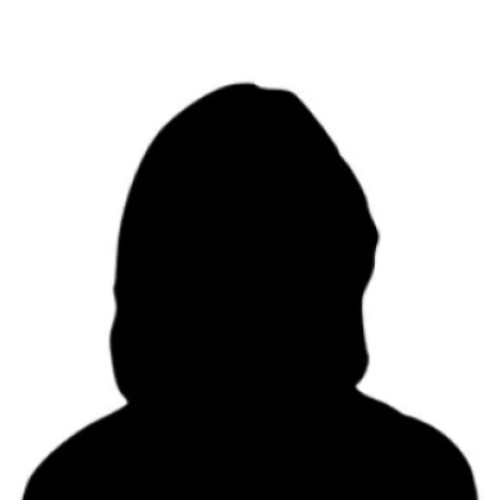 Professor Annette Fritscher-Ravens